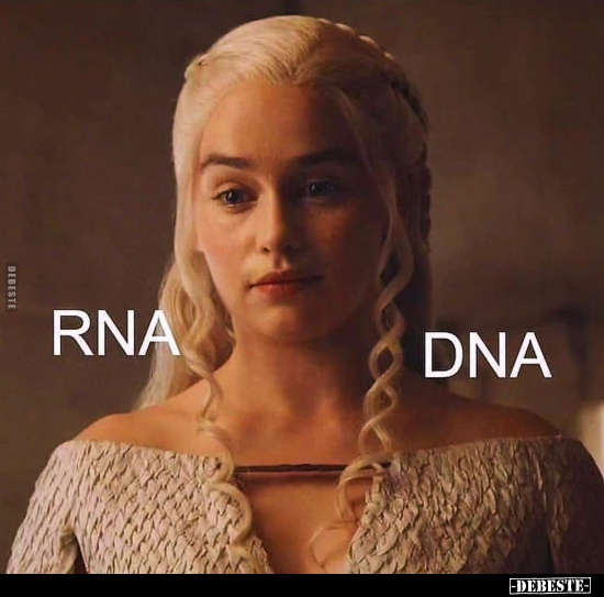 RNA vs DNA
