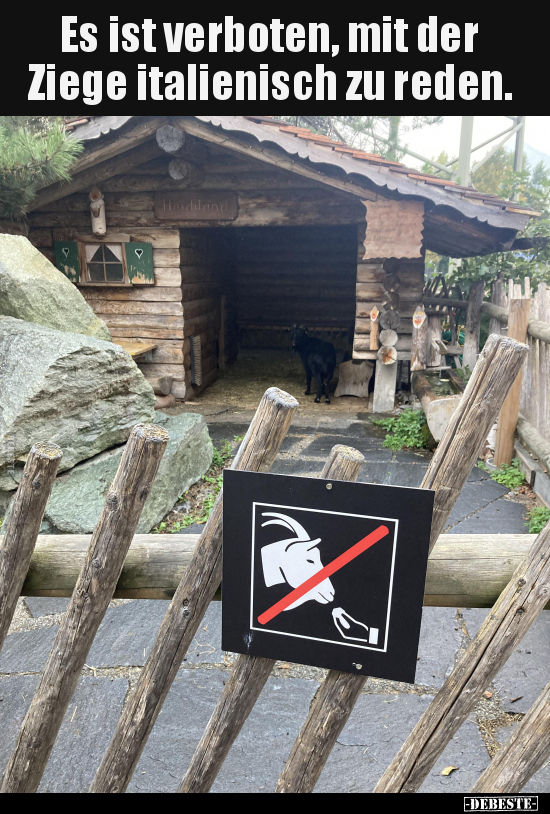 Es ist verboten, mit der Ziege italienisch zu reden... - Lustige Bilder | DEBESTE.de