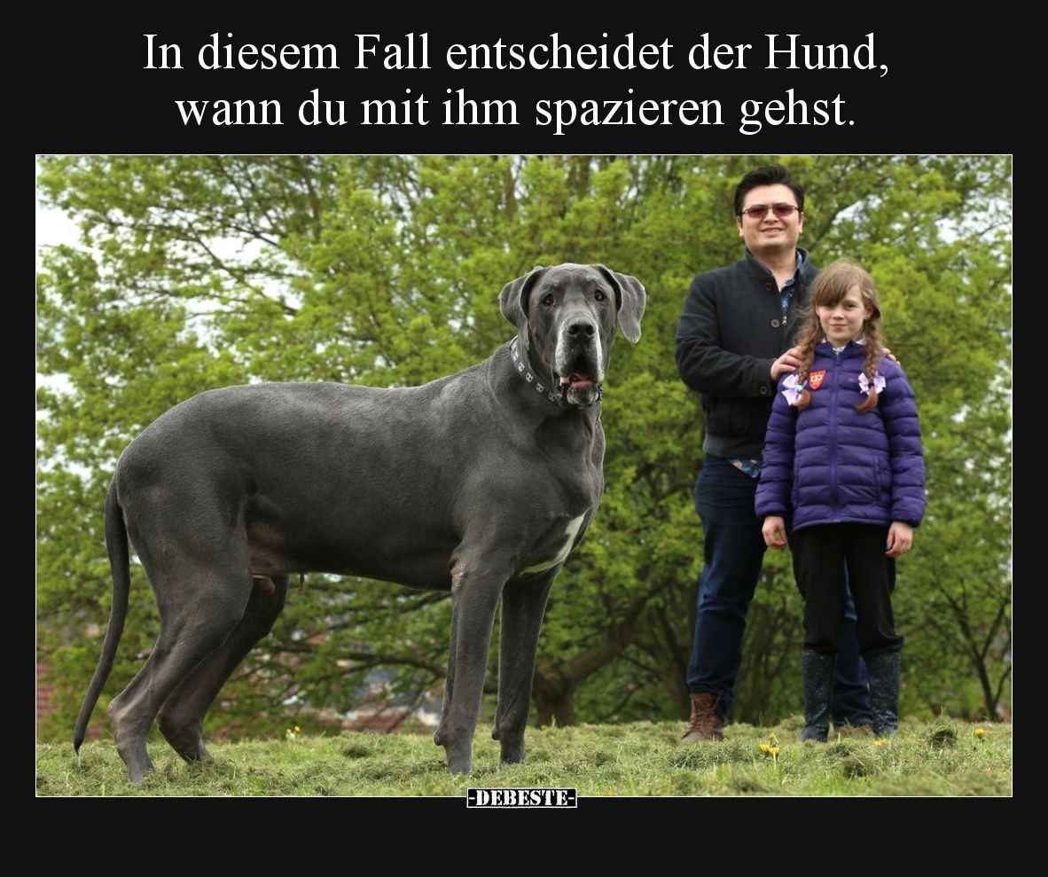In diesem Fall entscheidet der Hund, wann du mit ihm spazieren gehst.