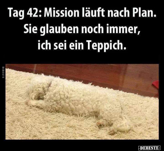 Tag 42: Mission läuft nach Plan. Sie glauben noch immer.. - Lustige Bilder | DEBESTE.de