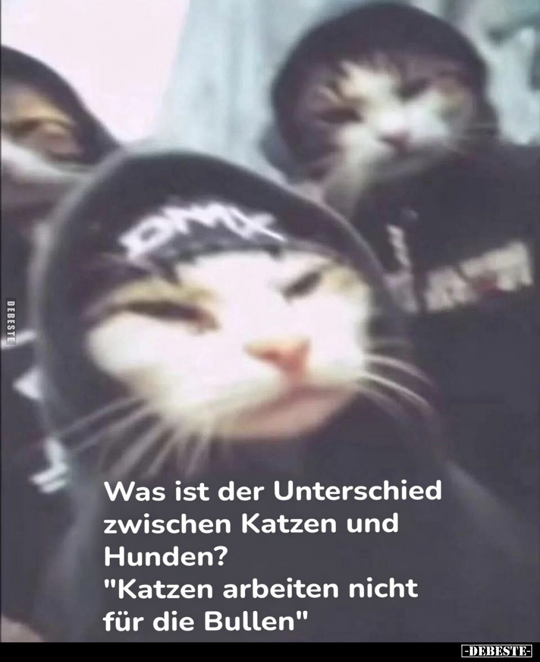 Was ist der Unterschied zwischen Katzen und Hunden?
Katzen arbeiten nicht für die Bullen.