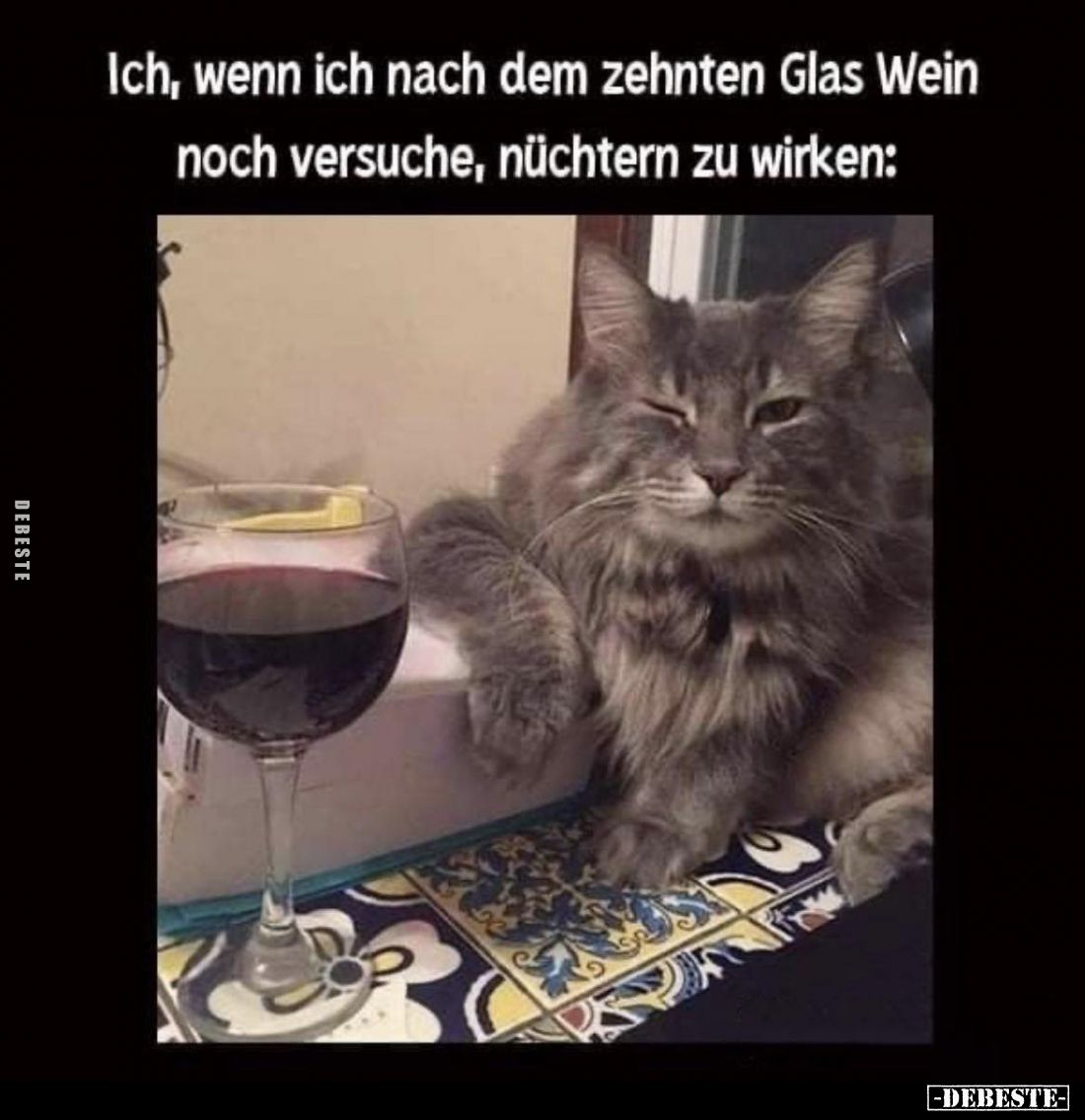 Ich, wenn ich nach dem zehnten Glas Wein... - Lustige Bilder | DEBESTE.de