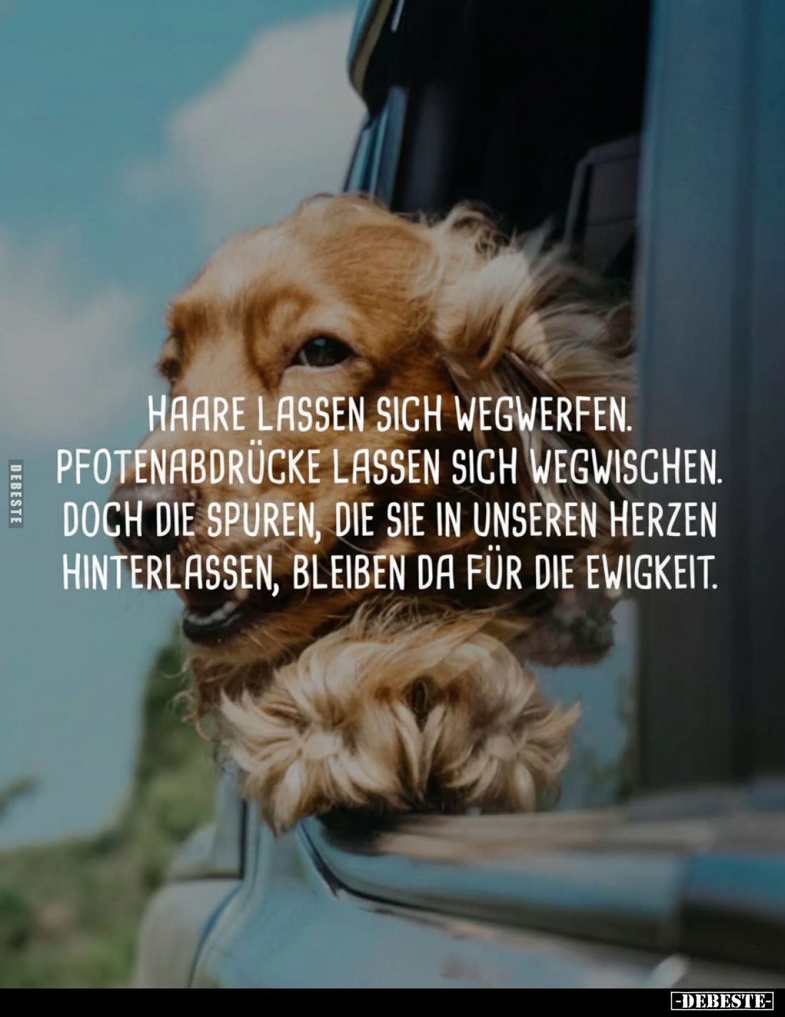 Haare lassen sich wegwerfen.. - Lustige Bilder | DEBESTE.de