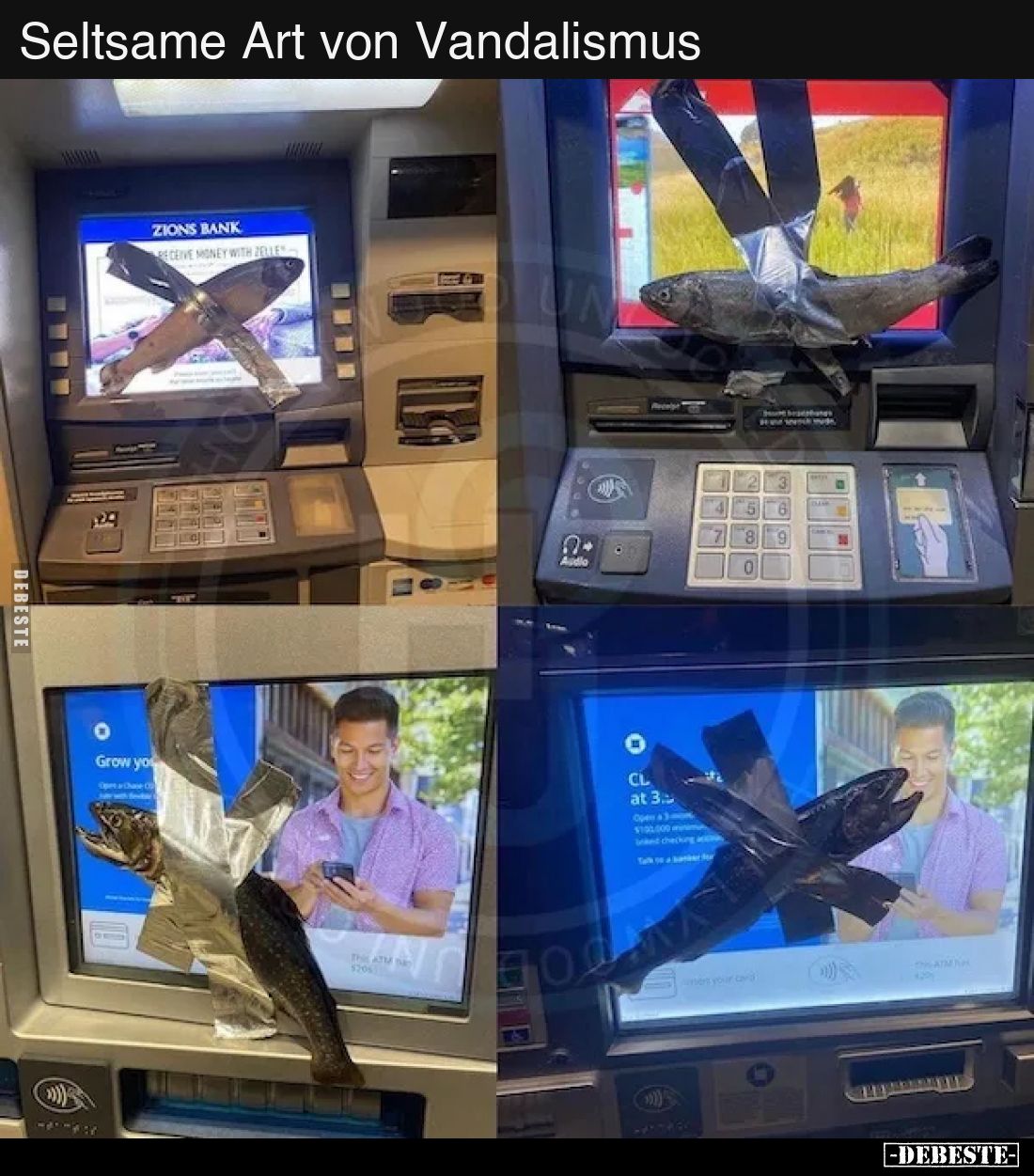 Seltsame Art von Vandalismus