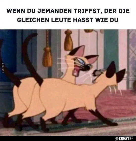 Wenn du jemanden triffst, der die gleichen Leute hasst wie du.. - Lustige Bilder | DEBESTE.de