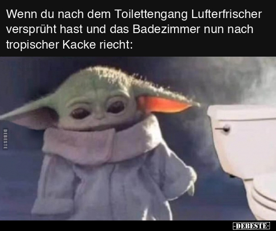 Wenn du nach dem Toilettengang Lufterfrischer versprüht.. - Lustige Bilder | DEBESTE.de