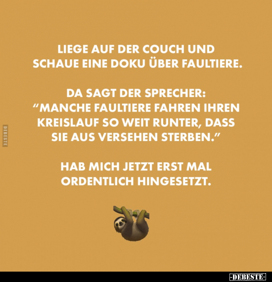 Liege auf der Couch und schaue eine Doku über Faultiere.. - Lustige Bilder | DEBESTE.de