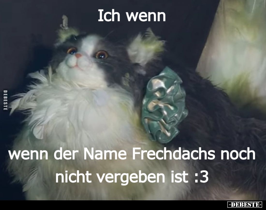 Ich wenn wenn der Name Frechdachs noch nicht vergeben ist :3