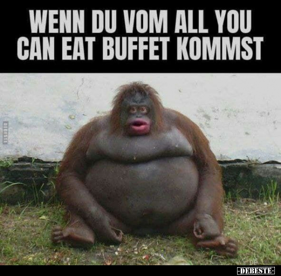 Wenn du vom all you can eat buffet kommst.. - Lustige Bilder | DEBESTE.de