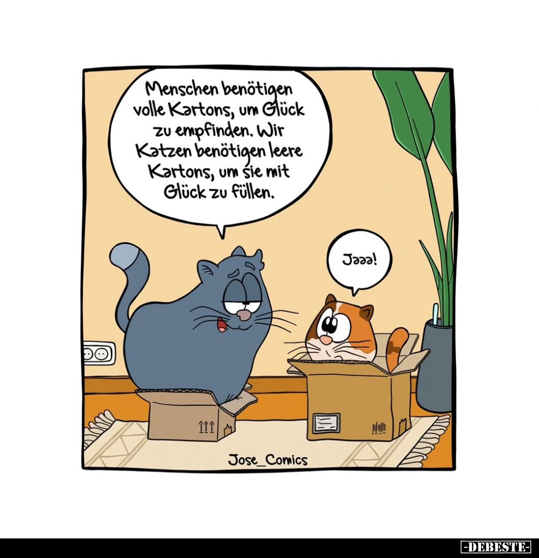 Menschen benötigen volle Kartons, um Glück zu empfinden.

Wir Katzen benötigen leere Kartons, um sie mit Glück zu füllen.
...