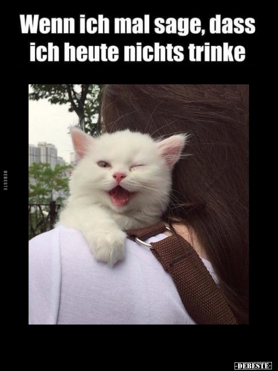 Wenn ich mal sage, dass ich heute nichts trinke.