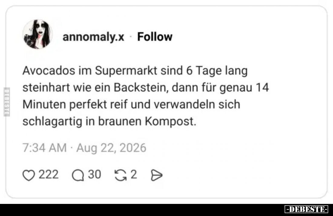 Avocados im Supermarkt sind 6 Tage lang steinhart wie ein.. - Lustige Bilder | DEBESTE.de