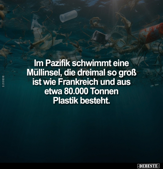 Im Pazifik schwimmt eine Müllinsel, die dreimal so groß ist.. - Lustige Bilder | DEBESTE.de