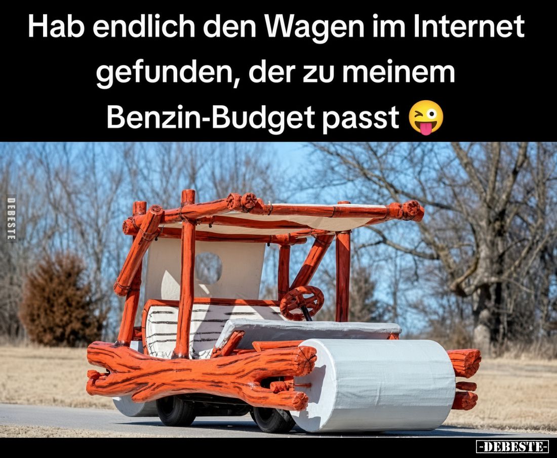 Hab endlich den Wagen im Internet gefunden, der zu meinem Benzin-Budget passt