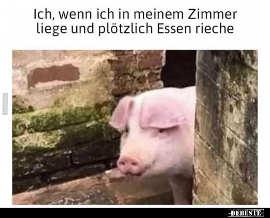 Ich, wenn ich in meinem Zimmer liege und.. - Lustige Bilder | DEBESTE.de