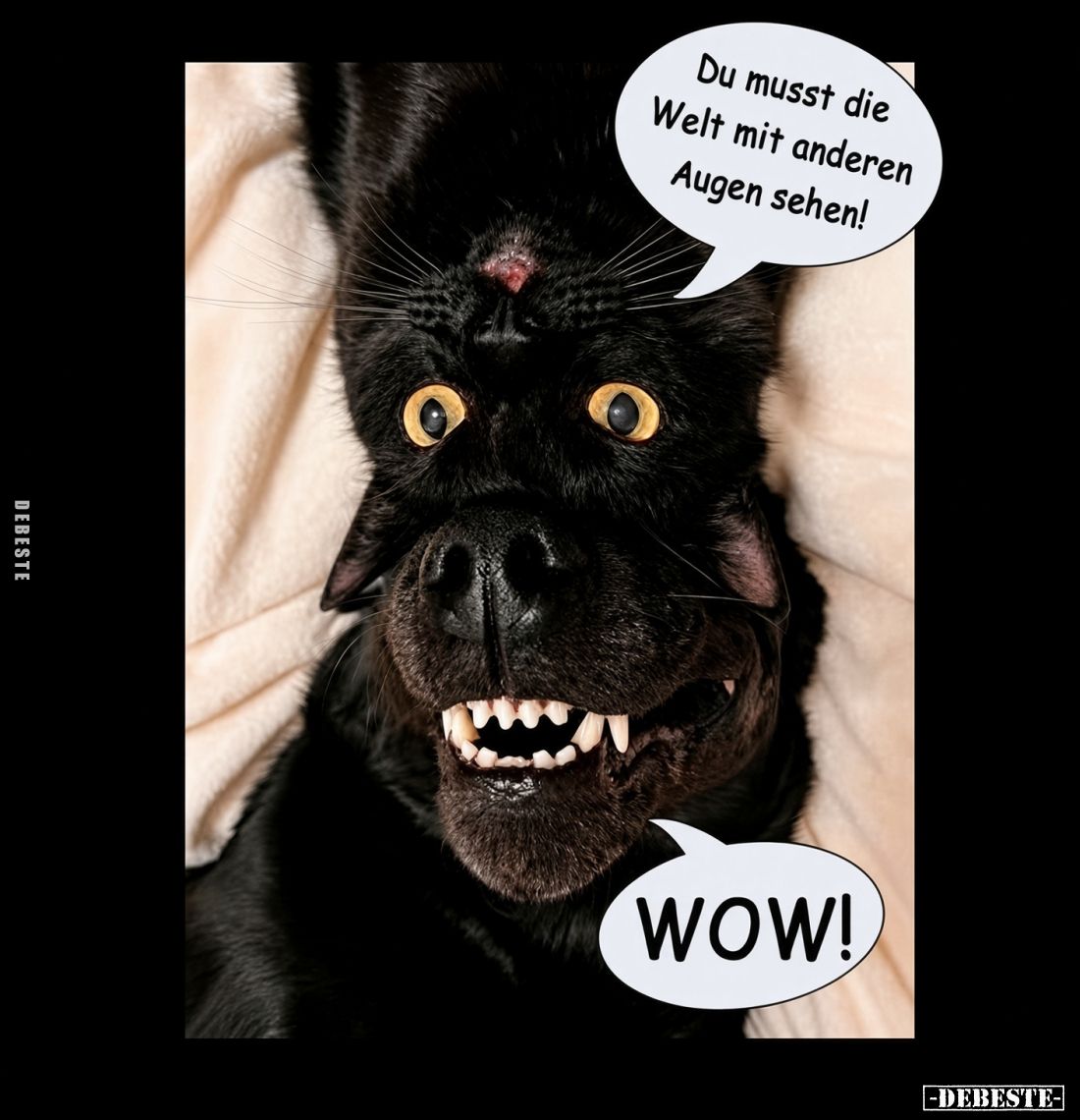 Du musst die Welt mit anderen Augen sehen!
WOW!