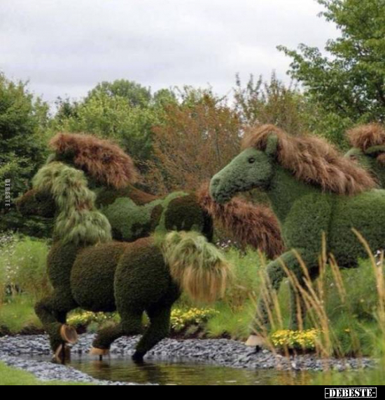  - Lustige Bilder | DEBESTE.de