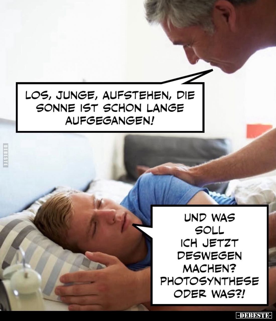 Los, Junge, aufstehen, die Sonne ist schon lange aufgegangen! -
Und was soll ich jetzt deswegen machen? Photosynthese oder w...