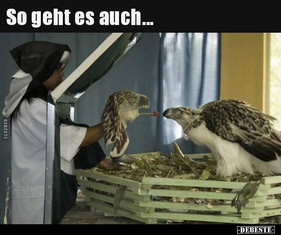 So geht es auch...