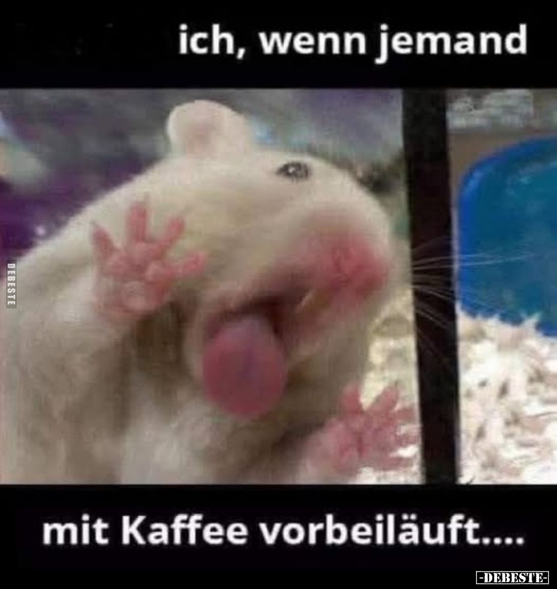 Ich, wenn jemand mit Kaffee vorbeiläuft.... - Lustige Bilder | DEBESTE.de