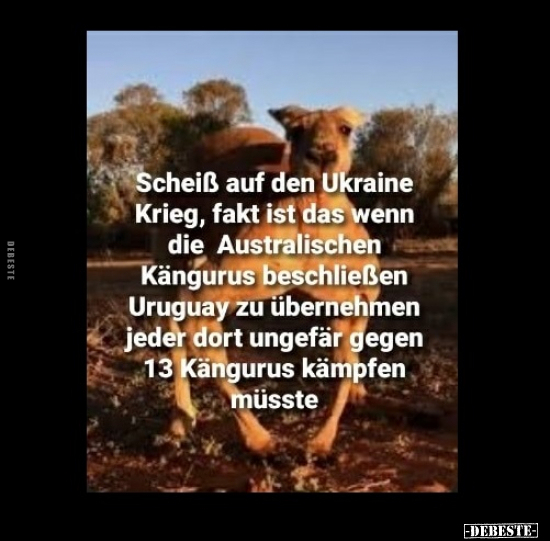 Sche*iß auf den Ukraine Krieg, fakt ist das wenn die.. - Lustige Bilder | DEBESTE.de