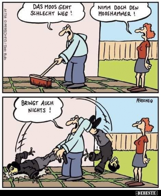 Das Moos geht schlecht weg!..