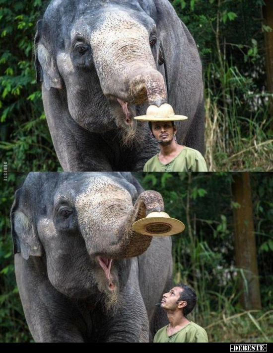  - Lustige Bilder | DEBESTE.de