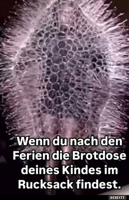 Wenn du nach den Ferien die Brotdose deines Kindes.. - Lustige Bilder | DEBESTE.de