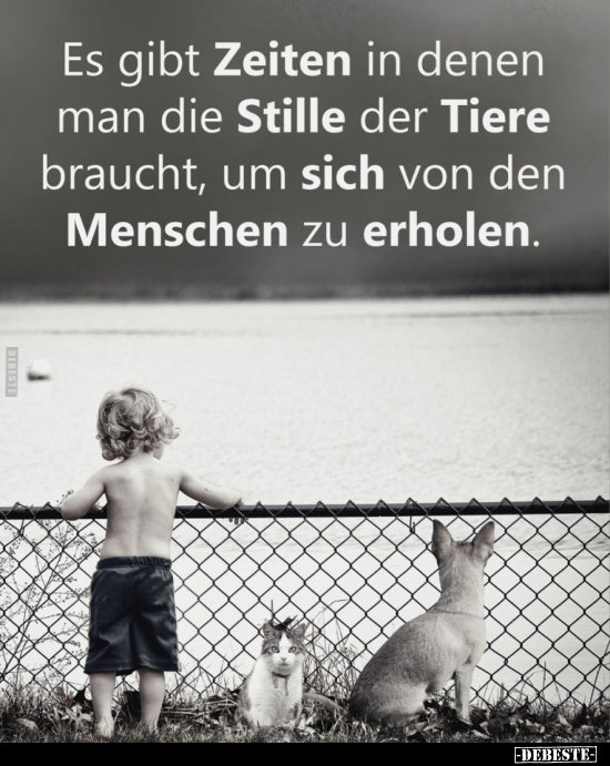 Es gibt Zeiten in denen man die Stille der Tiere braucht.. - Lustige Bilder | DEBESTE.de