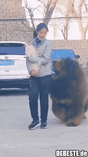  - Lustige Bilder | DEBESTE.de