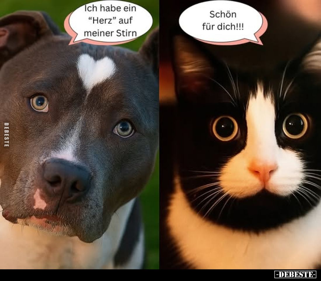 Ich habe ein "Herz" auf meiner Stirn. -
Schön für dich!!!