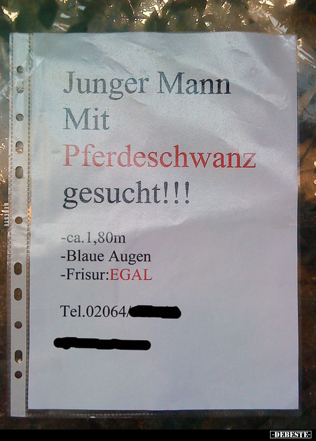 Junger Mann Mit Pferdeschwanz gesucht!!!
-ca. 1,80m
-Blaue Augen
-Frisur:EGAL
Tel.02064