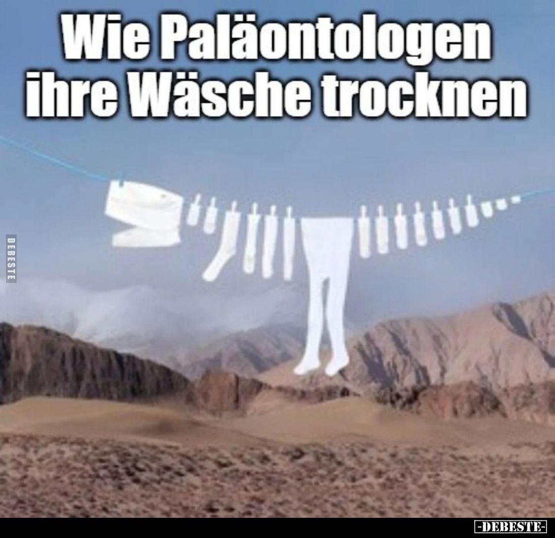 Wie Paläontologen ihre Wäsche trocknen.