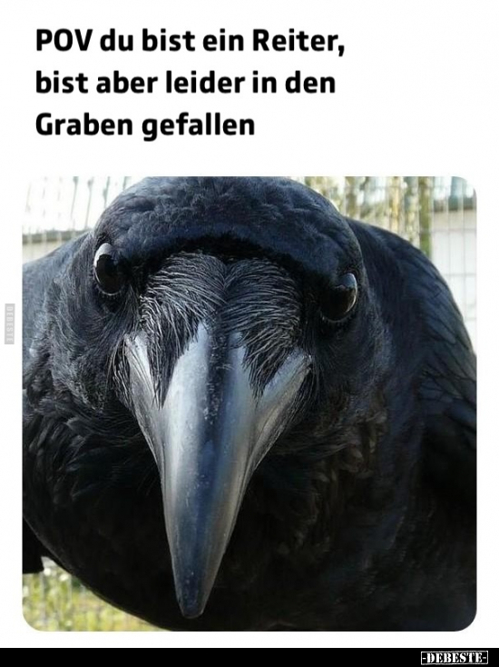 POV du bist ein Reiter, bist aber leider in den 
Graben gefallen.