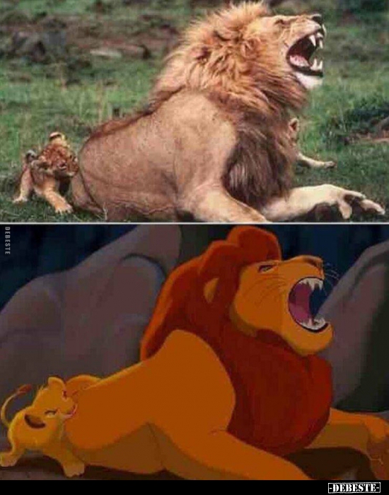  - Lustige Bilder | DEBESTE.de