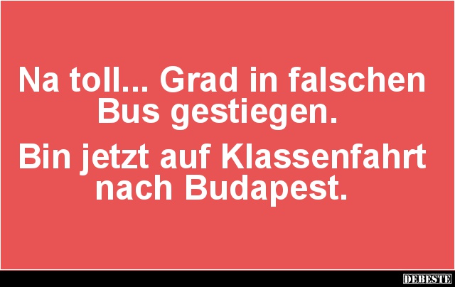 Na toll... Grad in falschen Bus gestiegen. - Lustige Bilder | DEBESTE.de
