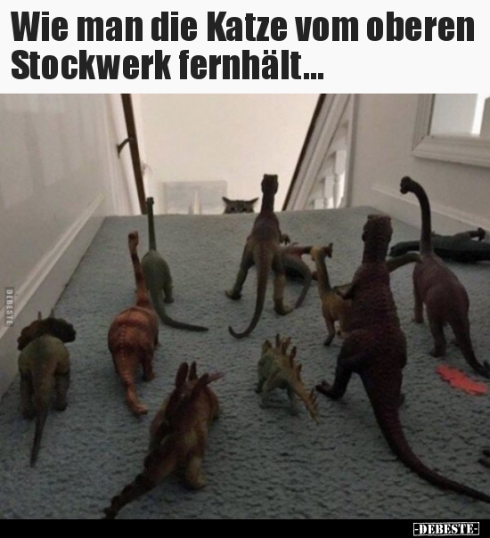 Wie man die Katze vom oberen Stockwerk fernhält...
