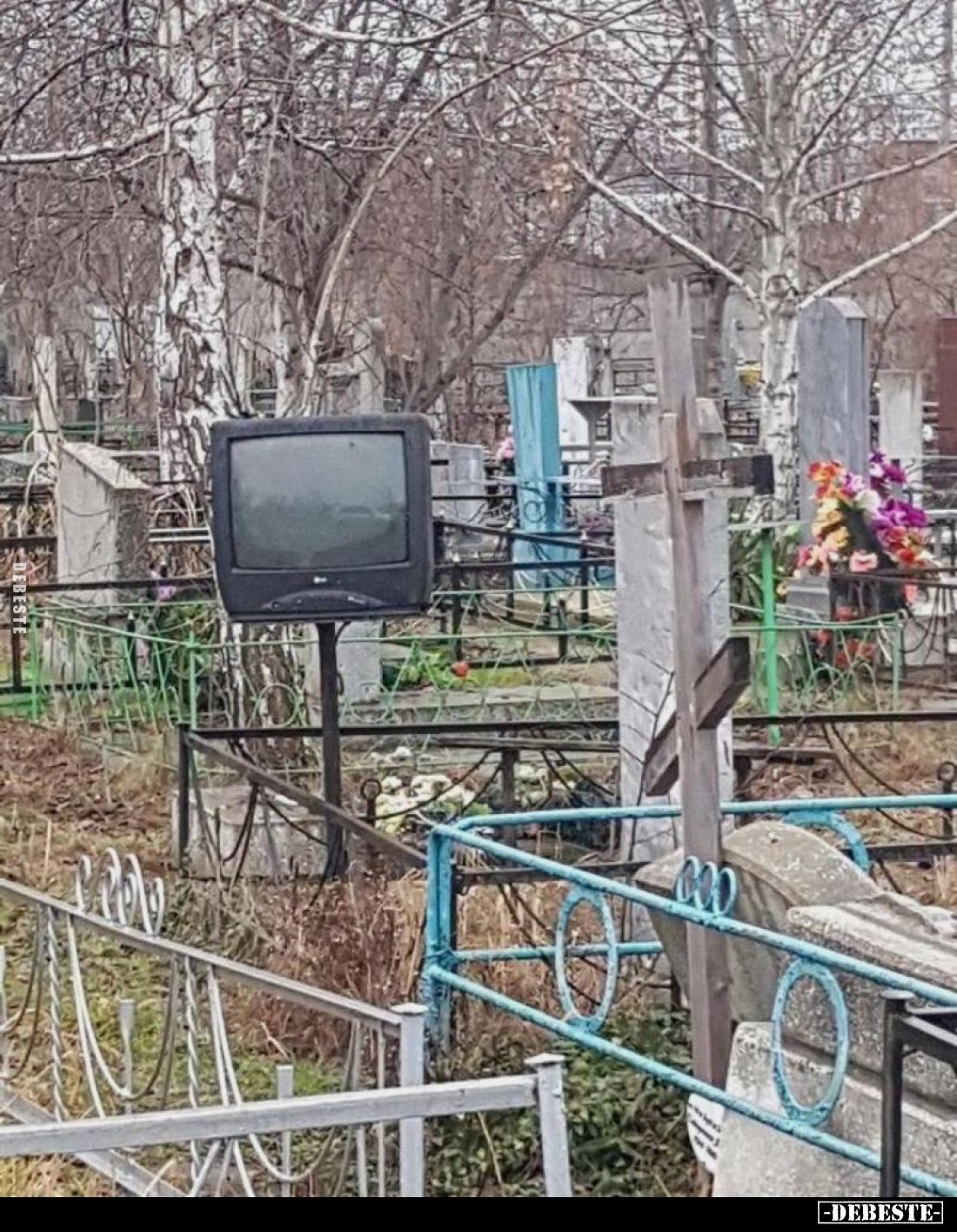  - Lustige Bilder | DEBESTE.de