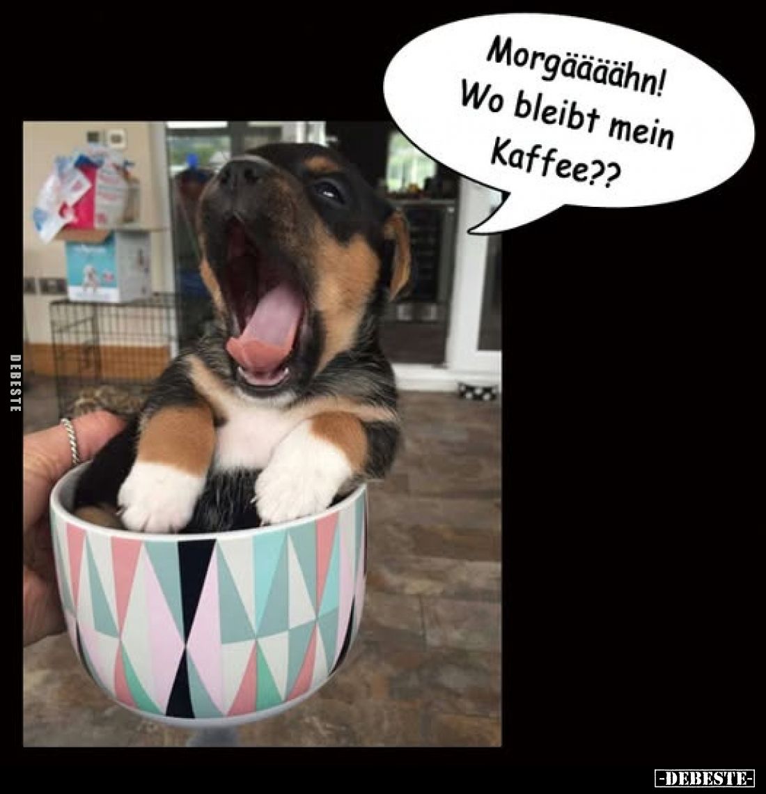 Morgäääähn! Wo bleibt mein Kaffee??.. - Lustige Bilder | DEBESTE.de