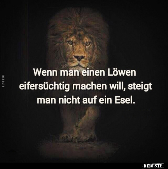 Wenn man einen Löwen eifersüchtig machen will.. - Lustige Bilder | DEBESTE.de