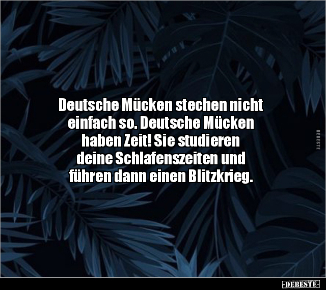 Deutsche Mücken stechen nicht einfach so... - Lustige Bilder | DEBESTE.de