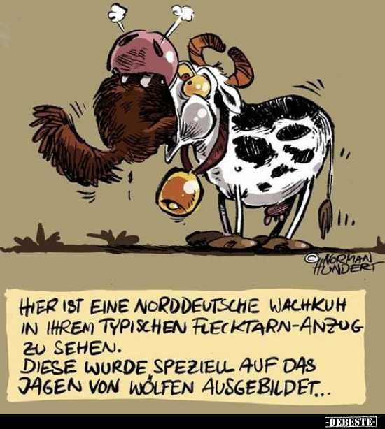 Hier ist eine Norddeutsche Wachkuh in ihrem typischen.. - Lustige Bilder | DEBESTE.de