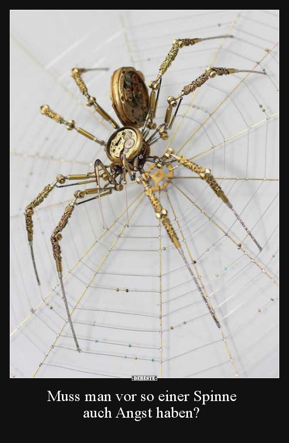 Muss man vor so einer Spinne auch Angst haben?..