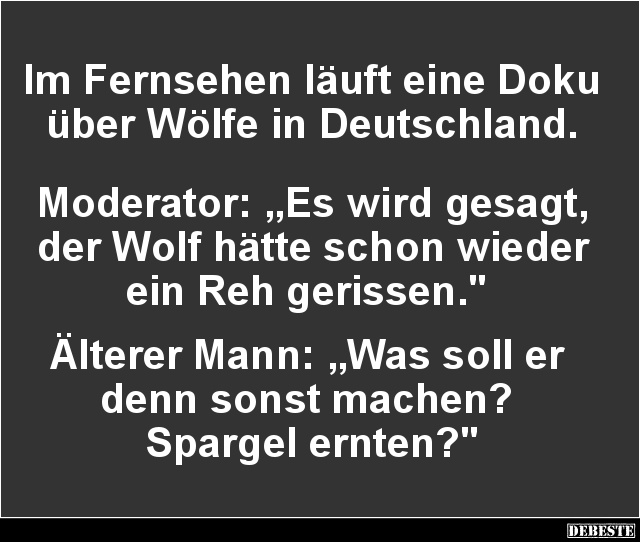 Im Fernsehen läuft eine Doku über Wölfe in Deutschland.. - Lustige Bilder | DEBESTE.de