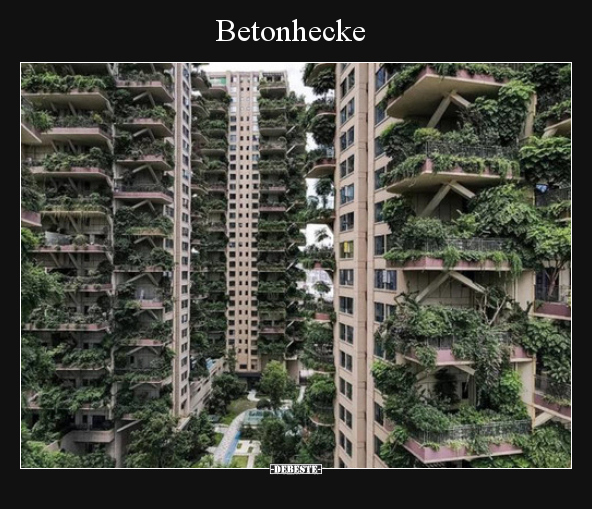 Betonhecke..