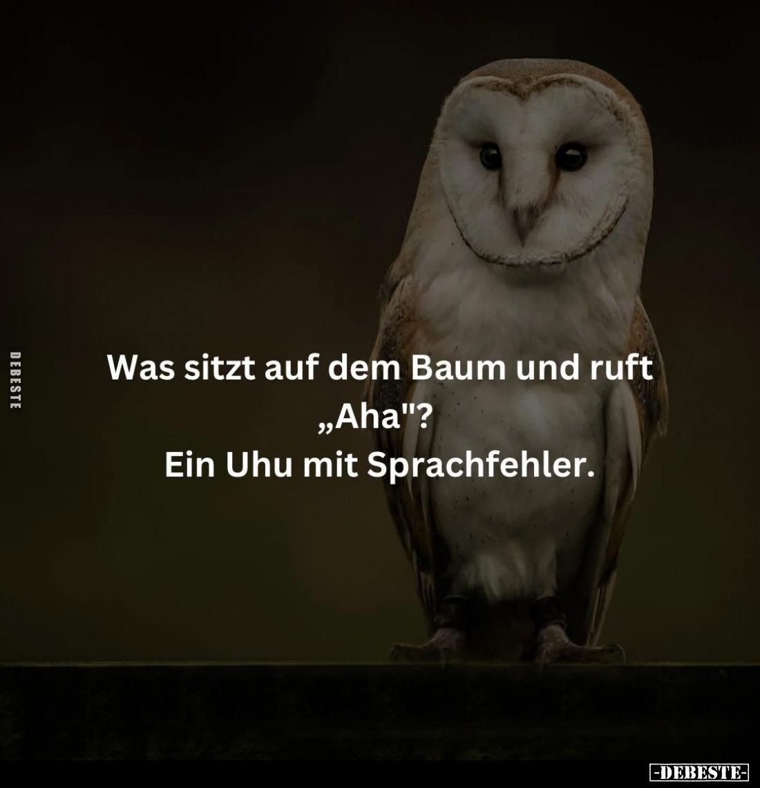 Was sitzt auf dem Baum und ruft "Aha"? Ein Uhu mit Sprachfehler.