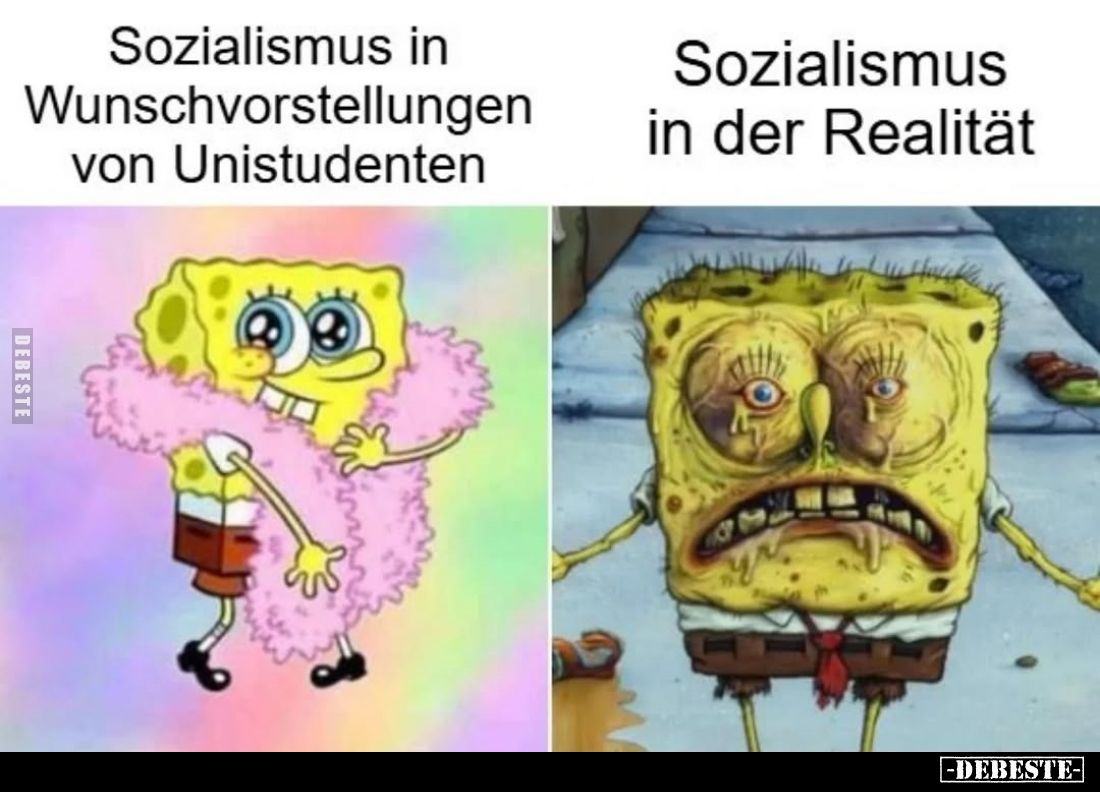 Sozialismus in Wunschvorstellungen von Unistudenten/
Sozialismus in der Realität