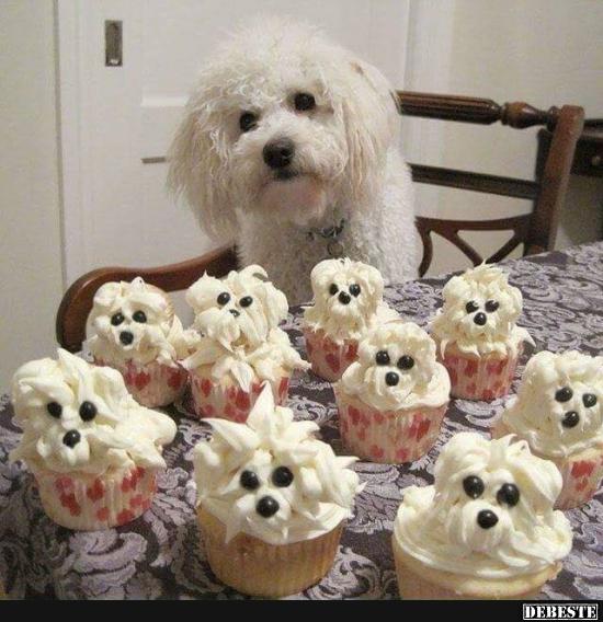 Zu niedlich zum Essen..