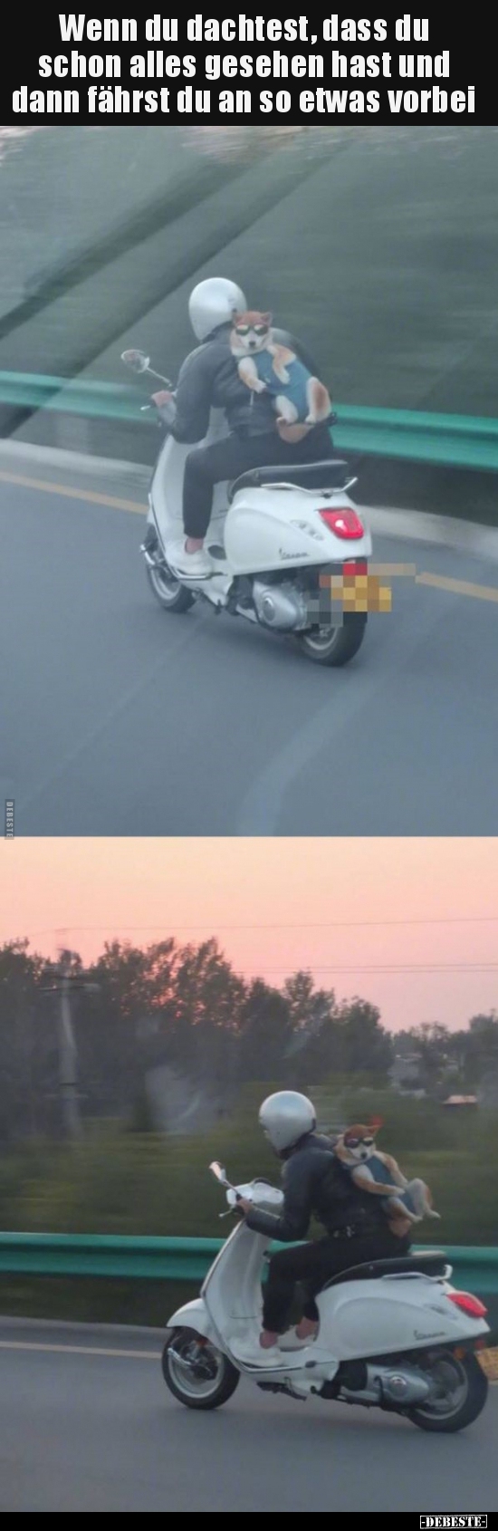 Wenn du dachtest, dass du schon alles gesehen hast und..