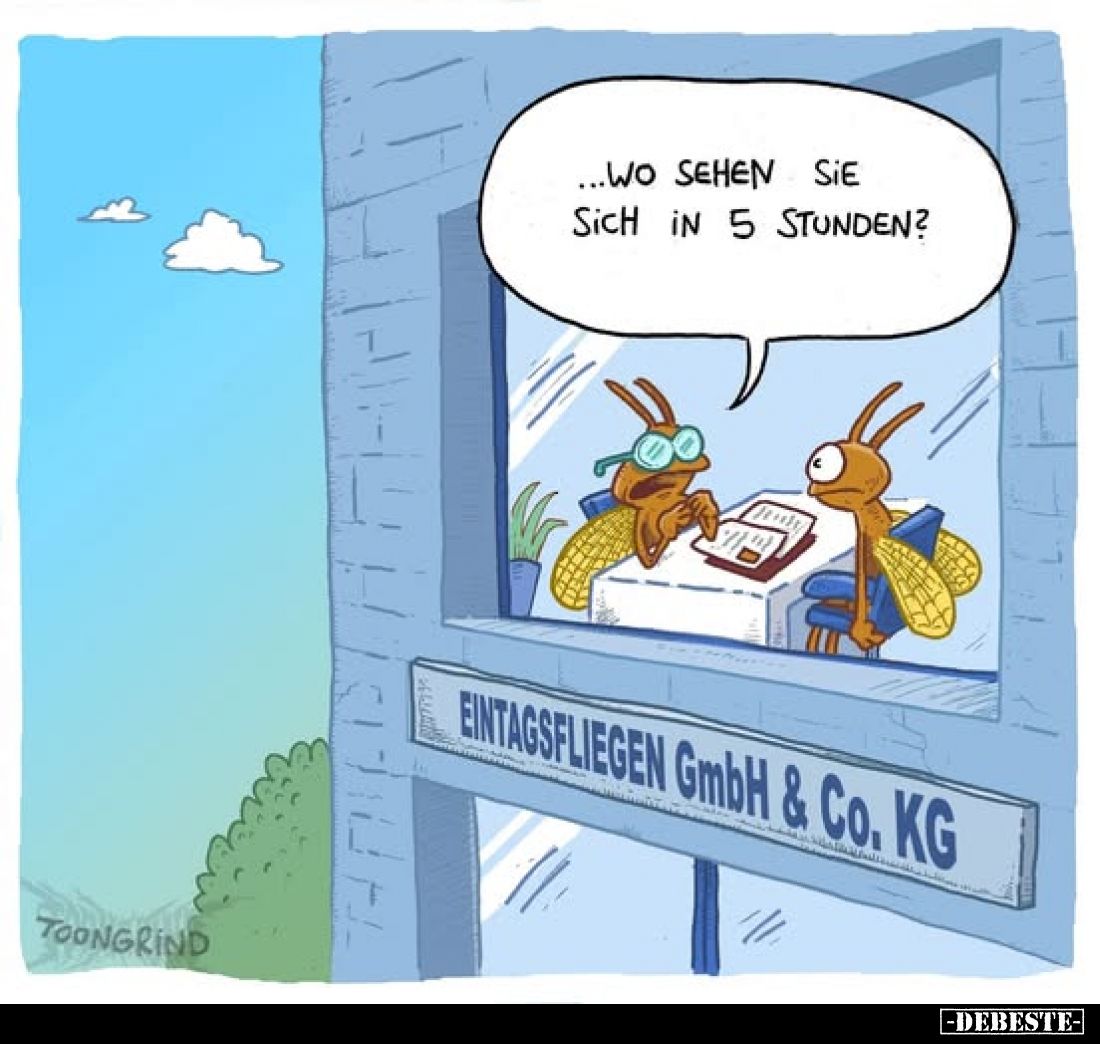 ...wo sehen Sie sich in 5 Stunden?